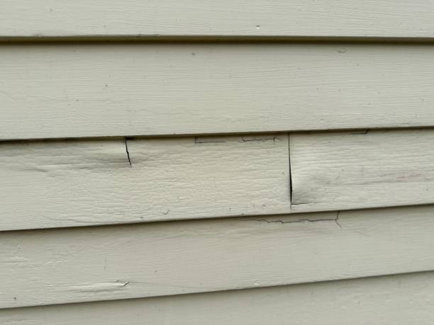 Best Custom Trim and Detailing for Siding  in West Puente Valley, CA